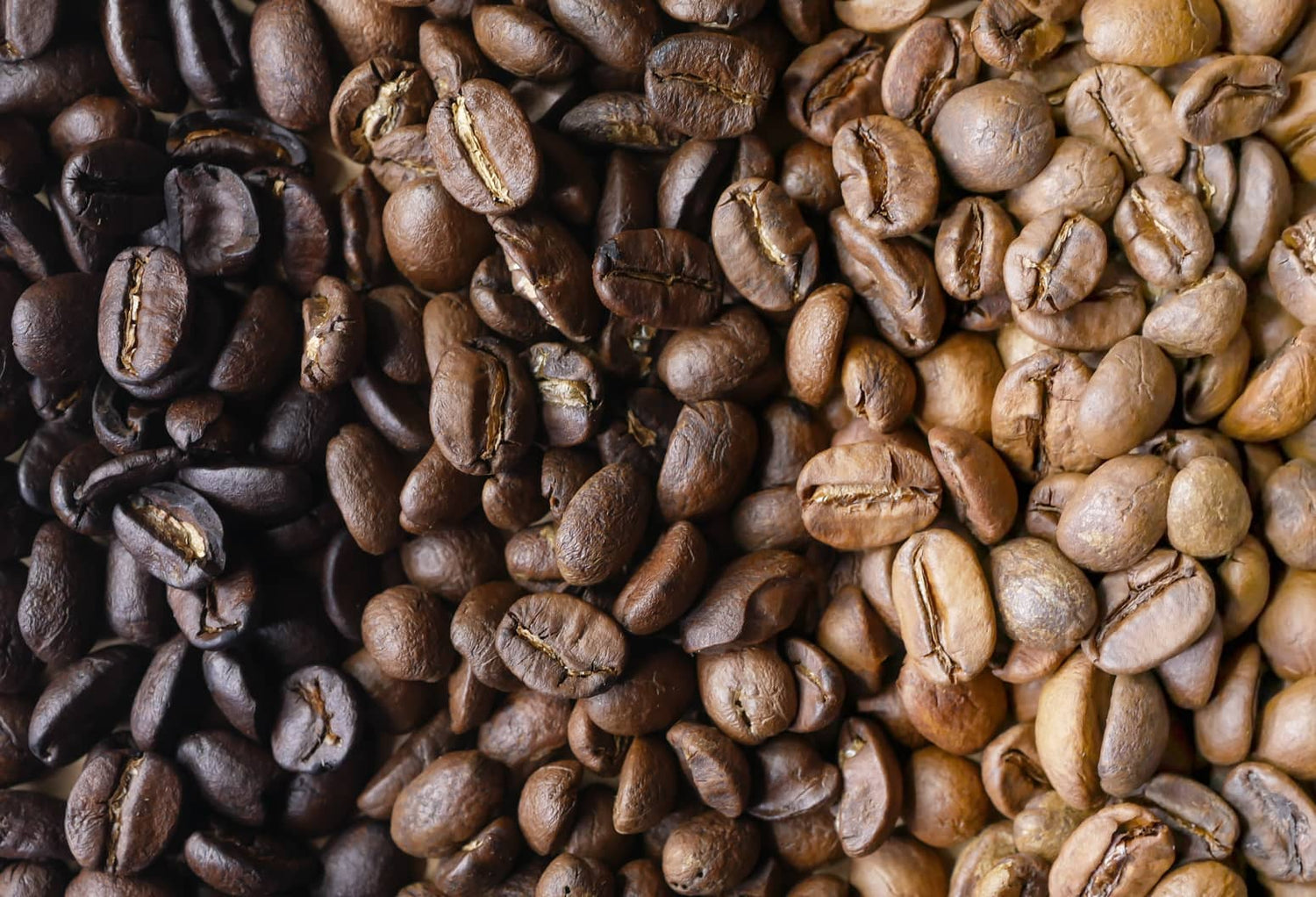 dark, medium and light roast beans