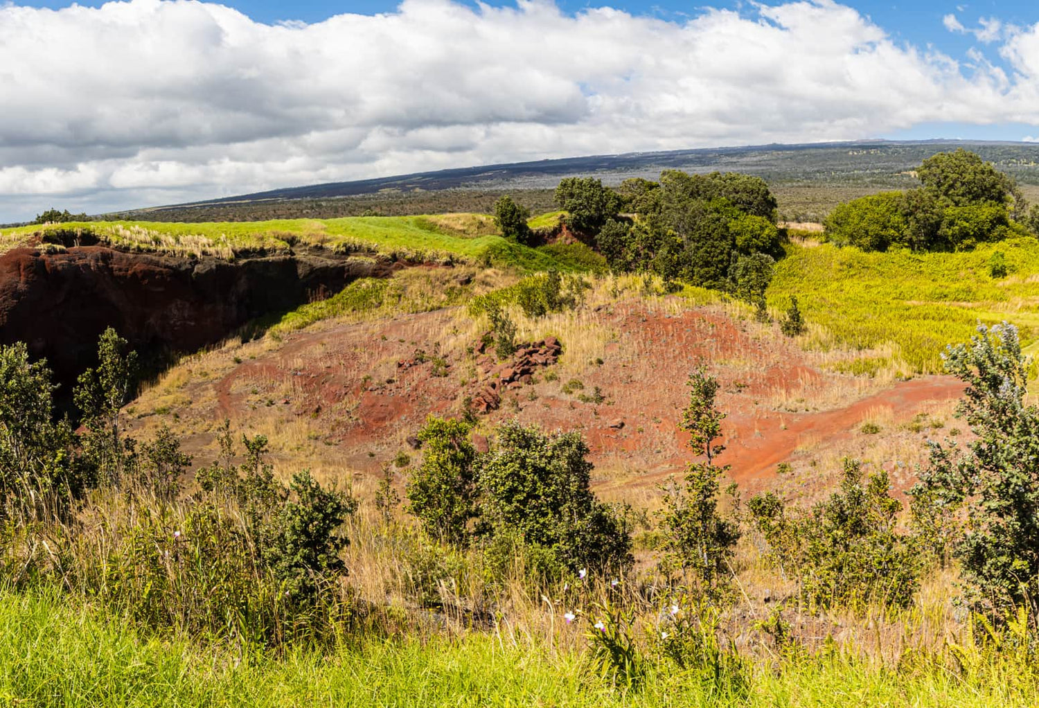 Hike Kahuku Trails